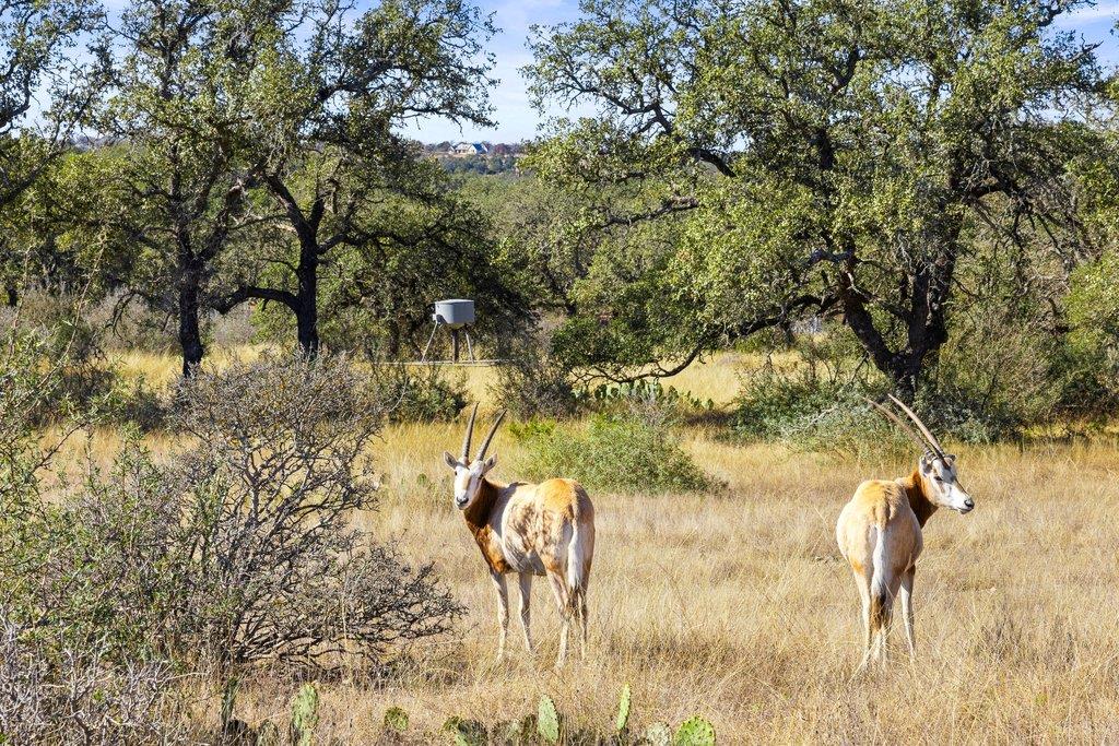 1292 Upper Turtle Creek Road Kerrville TX 78028