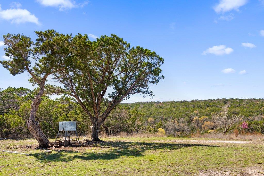 582 Delaware Creek Road Blanco TX 78006