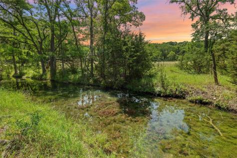1128 Posey Ranch Road Fischer TX 78623