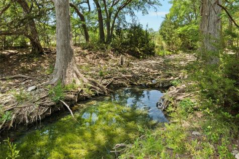 1128 Posey Ranch Road Fischer TX 78623
