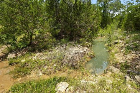 1128 Posey Ranch Road Fischer TX 78623