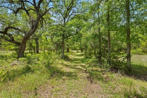 1128 Posey Ranch Road Fischer TX 78623