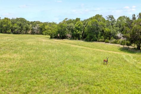 1128 Posey Ranch Road Fischer TX 78623
