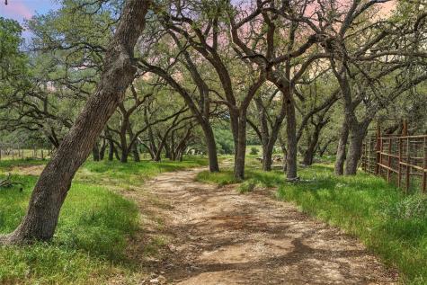 1128 Posey Ranch Road Fischer TX 78623