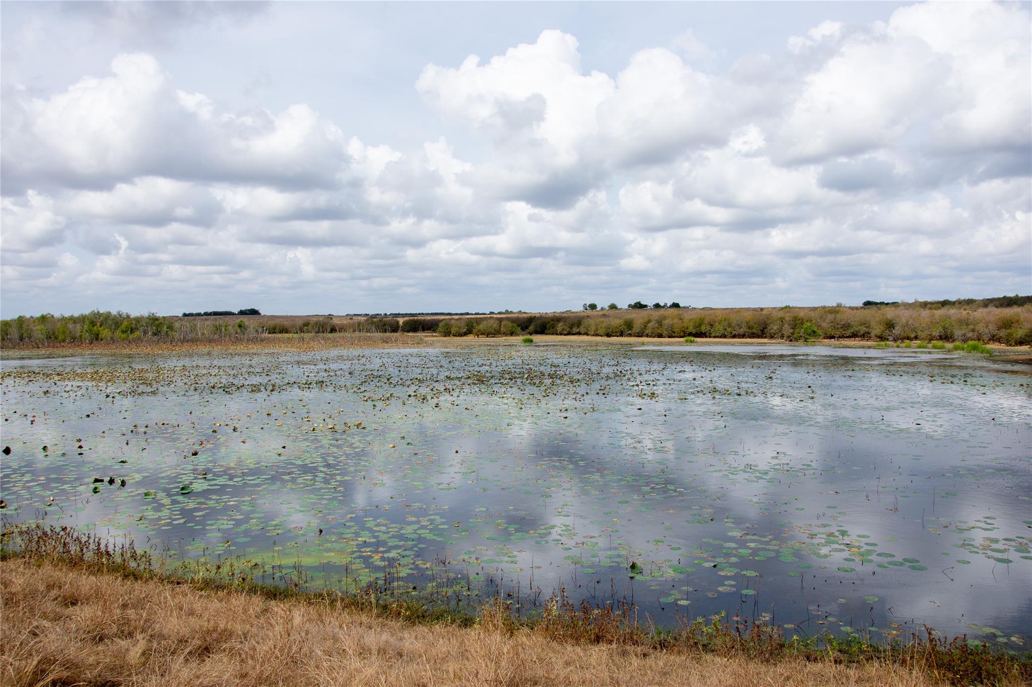 2689 County Road 419 Road Taylor TX 76574