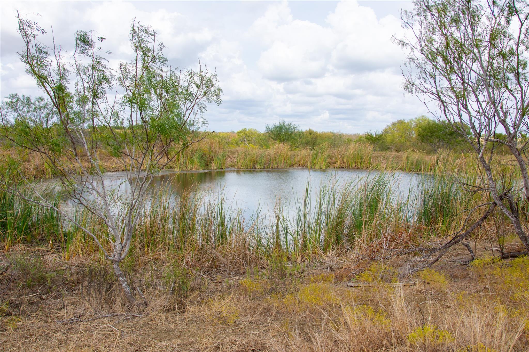2689 County Road 419 Road Taylor TX 76574