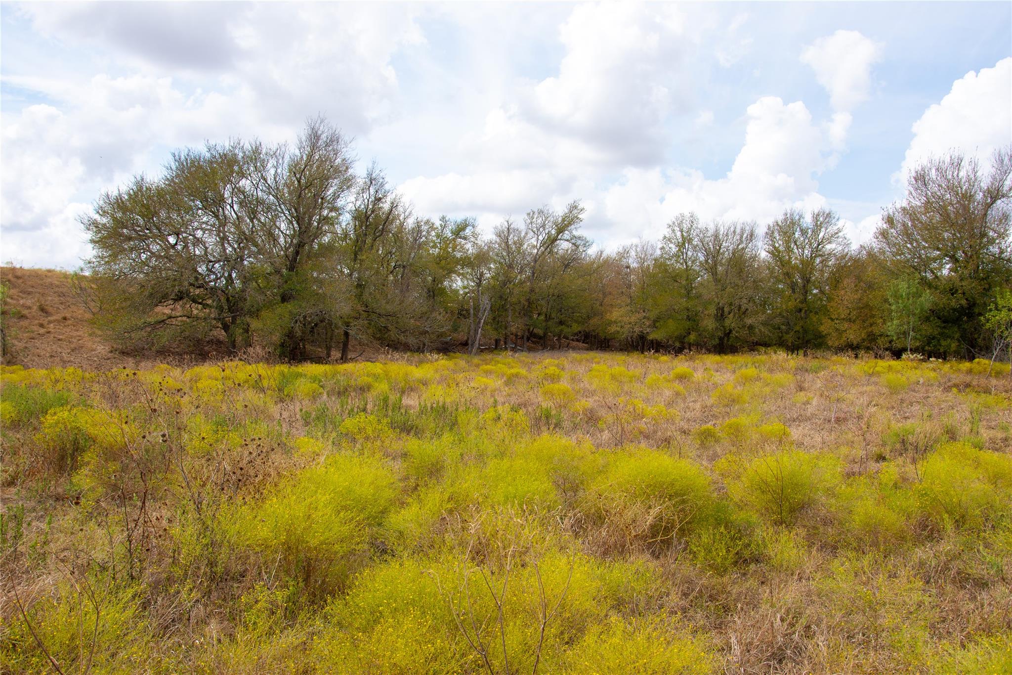 2689 County Road 419 Road Taylor TX 76574