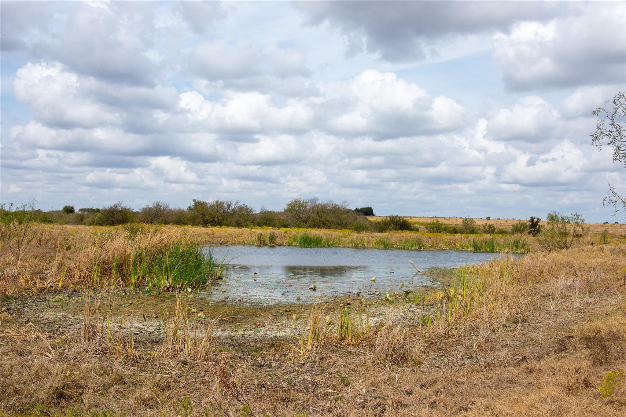 2689 County Road 419 Road Taylor TX 76574