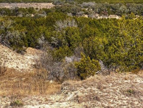 000 County Road 2699 Goldthwaite TX 76853