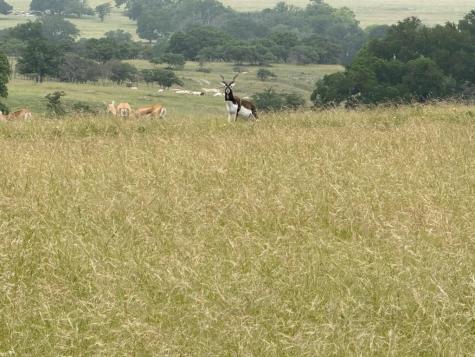 9 N Hcr 624 Road Goldthwaite TX 76844