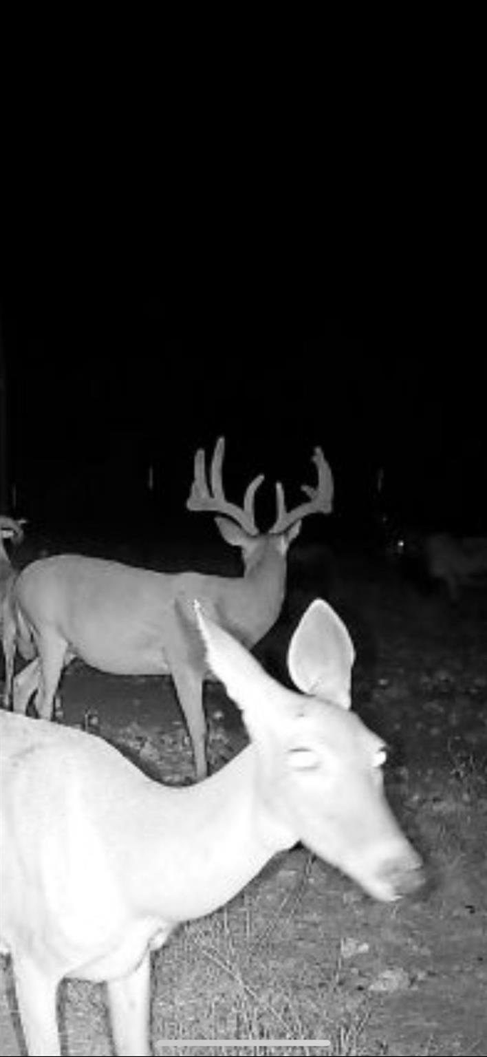 9 N Hcr 624 Road Goldthwaite TX 76844