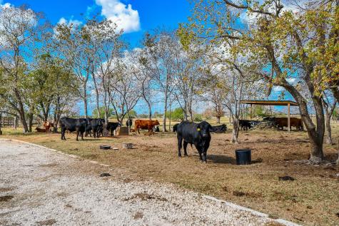 1093 Sunderman Road Alleyton TX 78935