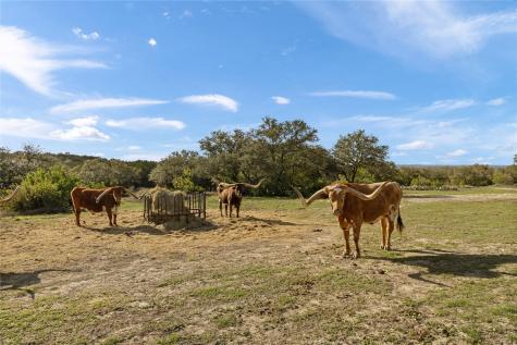 892 Baird Ranch Road Johnson City TX 78636