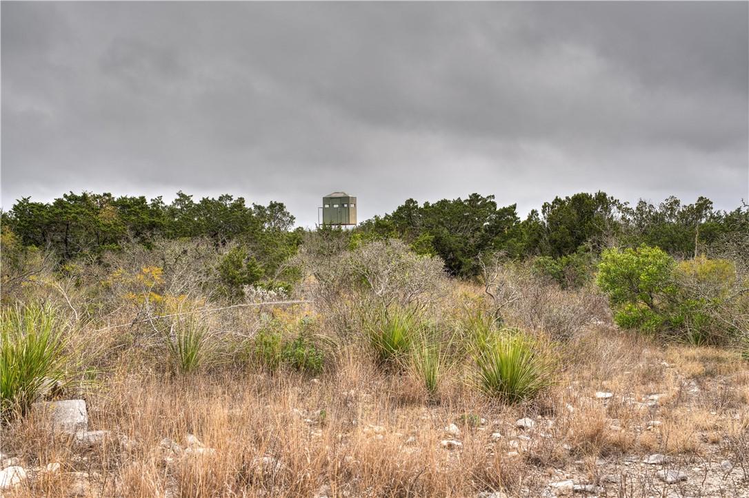 000 Leona Ranch Road Brackettville TX 78832