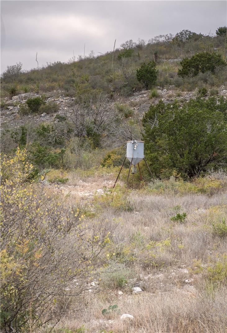 000 Leona Ranch Road Brackettville TX 78832