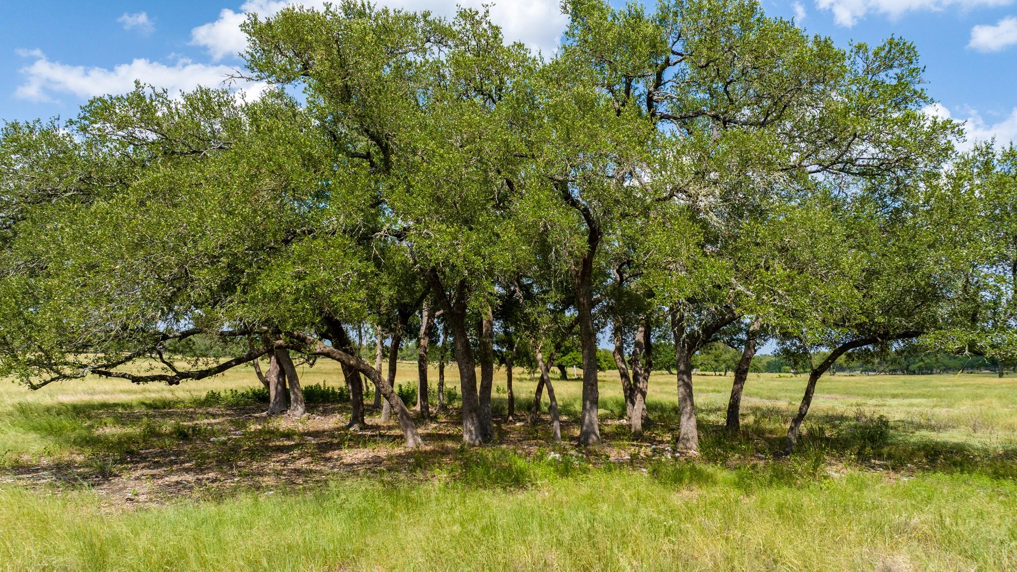 0 Lone Man Mountain Road Wimberley TX 78676