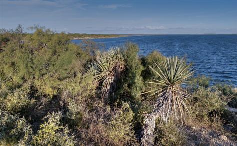 1281 Pr 3740 Coleman TX 76888