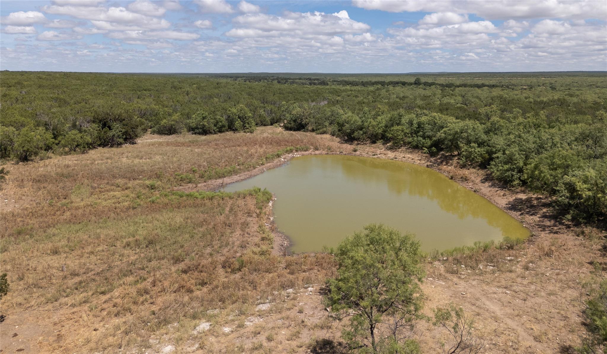 1281 Pr 3740 Coleman TX 76888