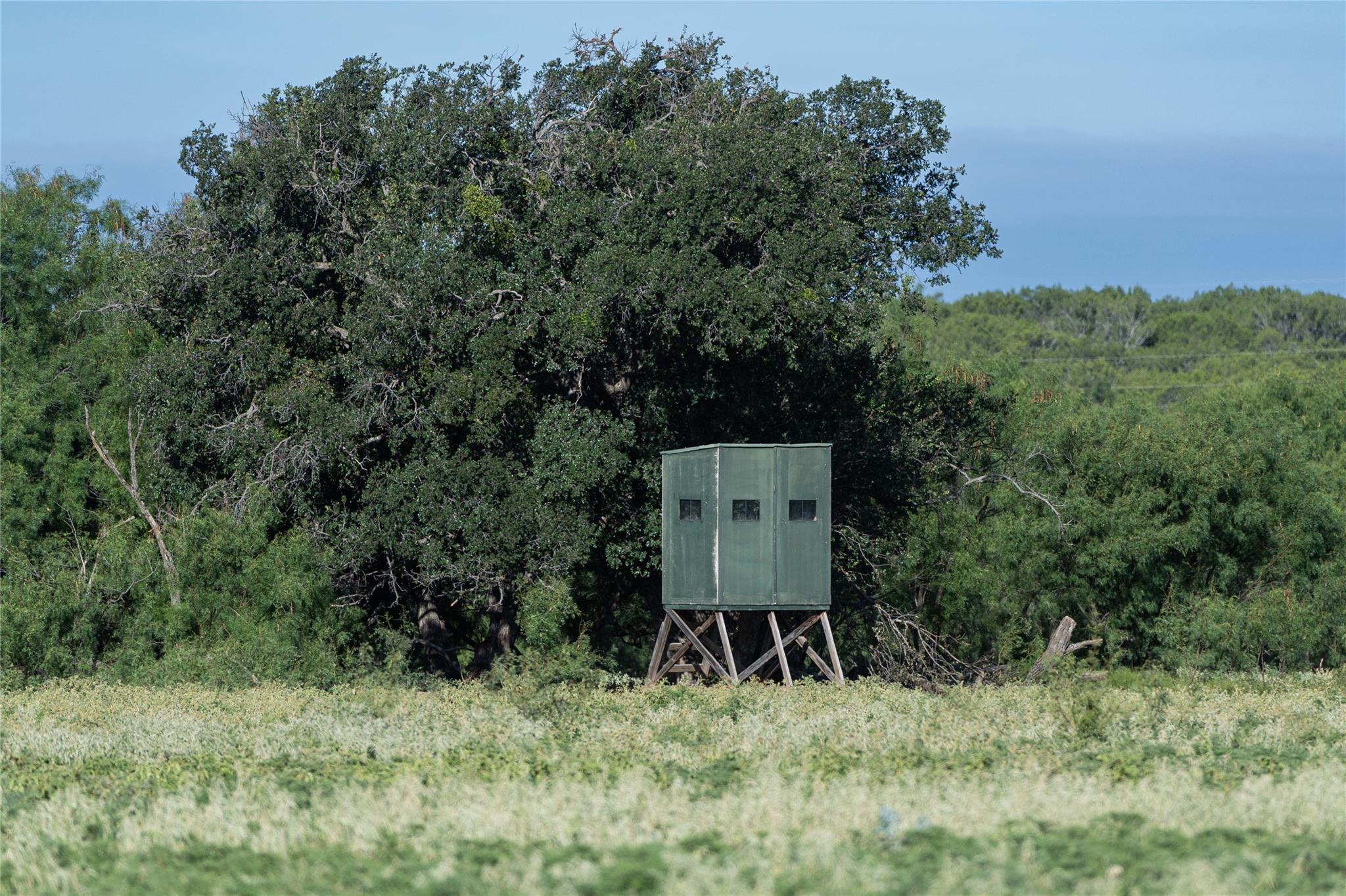 1281 Pr 3740 Coleman TX 76888