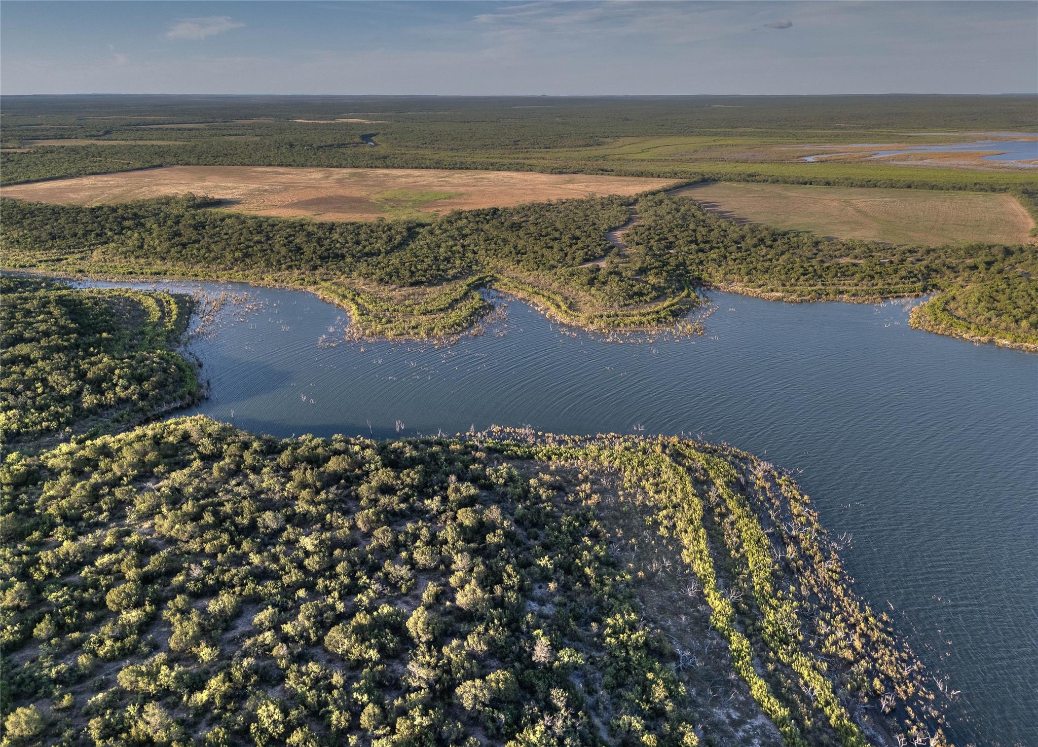 1281 Pr 3740 Coleman TX 76888