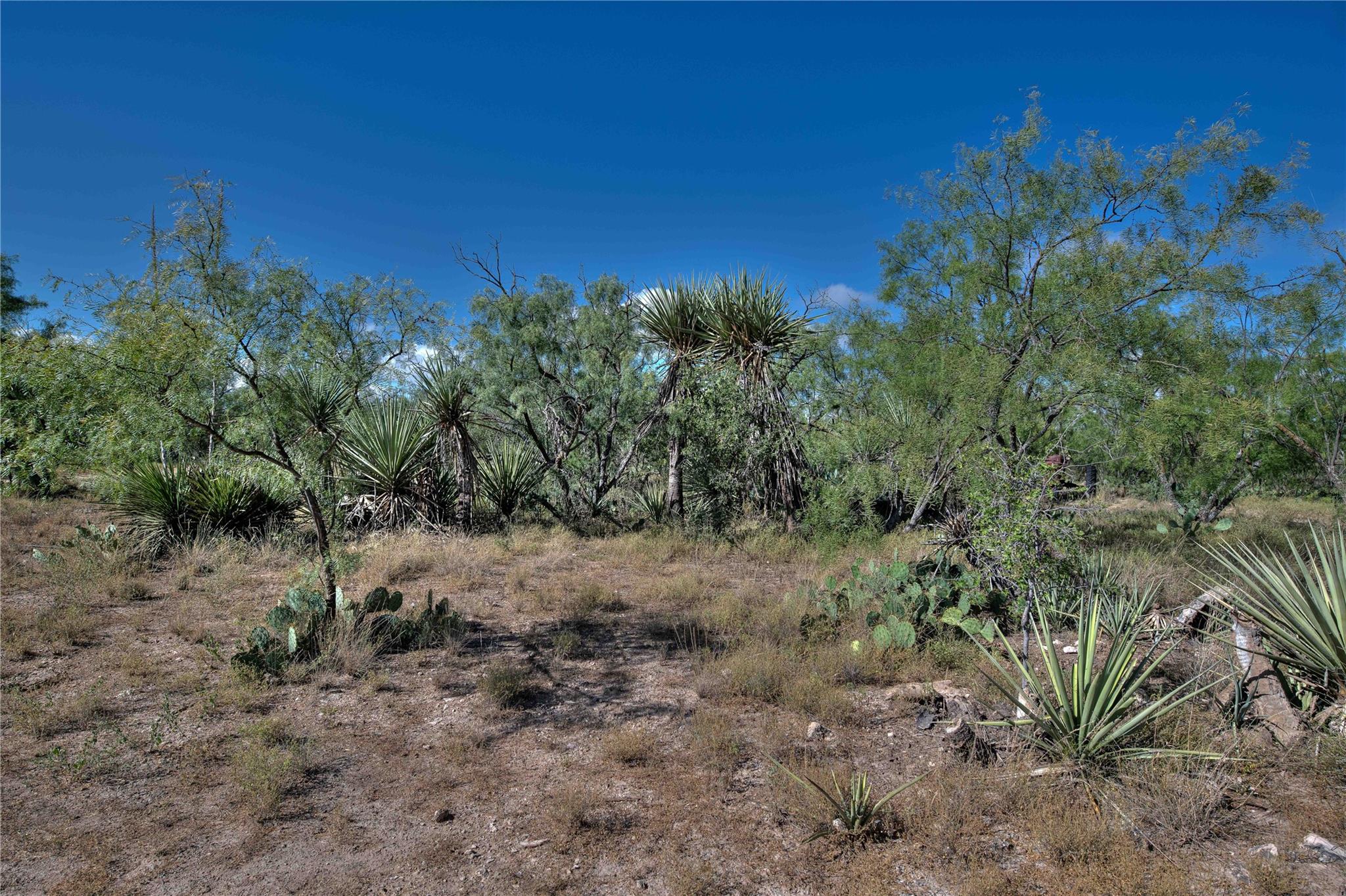 1281 Pr 3740 Coleman TX 76888