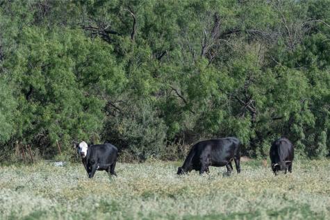 1281 Pr 3740 Coleman TX 76888