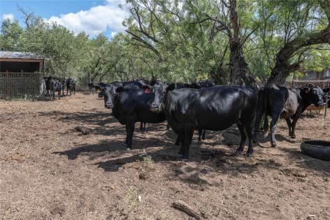 1281 Pr 3740 Coleman TX 76888