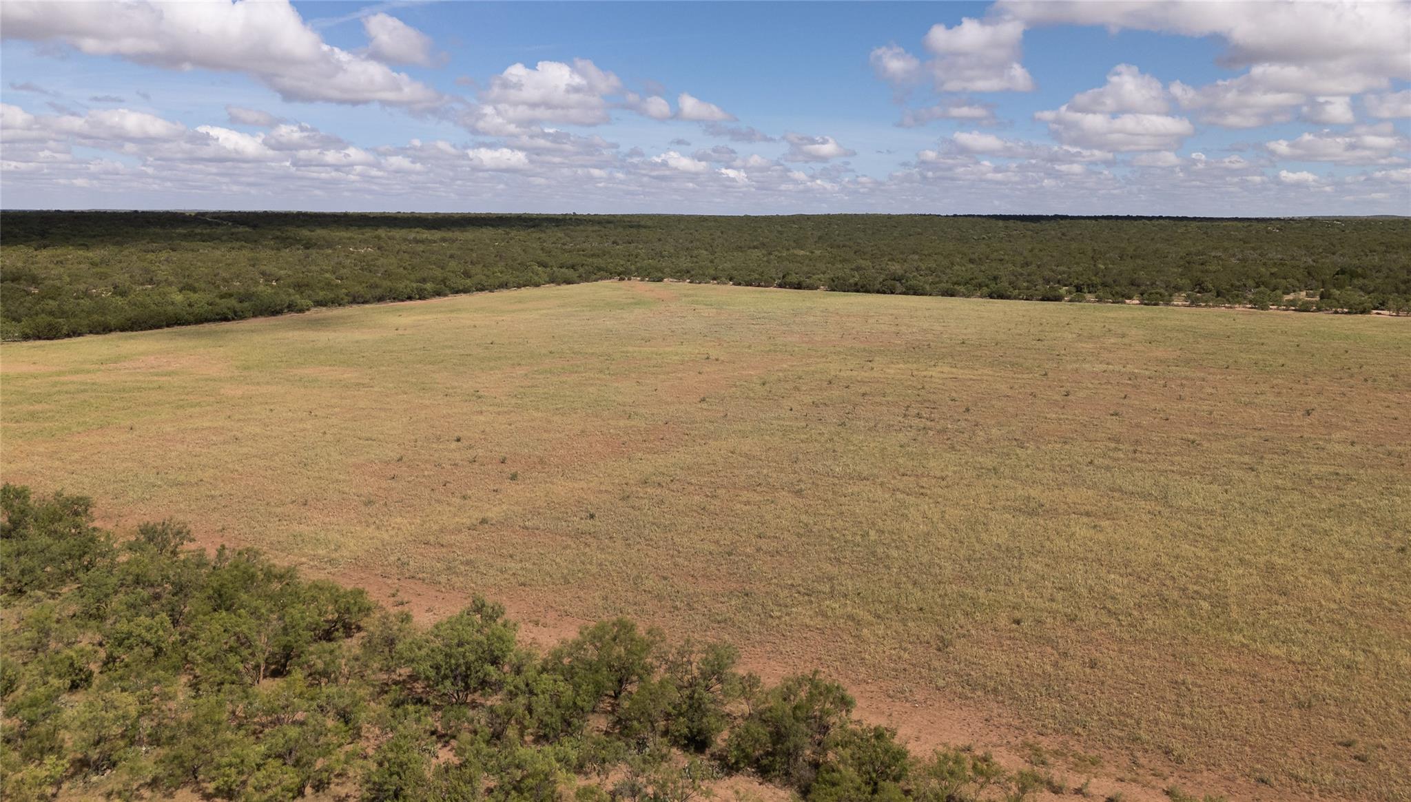 1281 Pr 3740 Coleman TX 76888