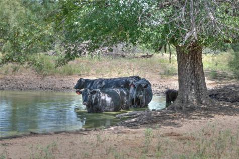 1281 Pr 3740 Coleman TX 76888