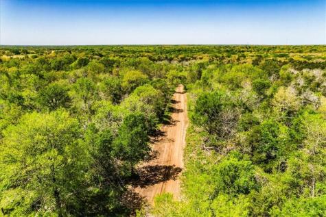 497 Mount Pleasant Road Cedar Creek TX 78612