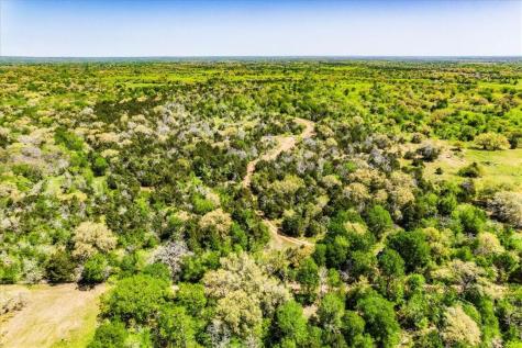 497 Mount Pleasant Road Cedar Creek TX 78612