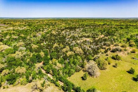 497 Mount Pleasant Road Cedar Creek TX 78612