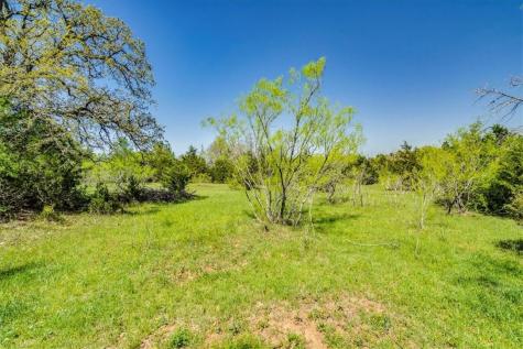 497 Mount Pleasant Road Cedar Creek TX 78612