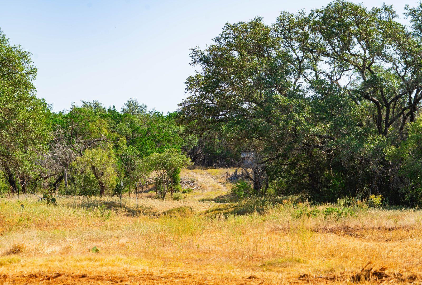 0000 Old Ferry Road Spicewood TX 78669