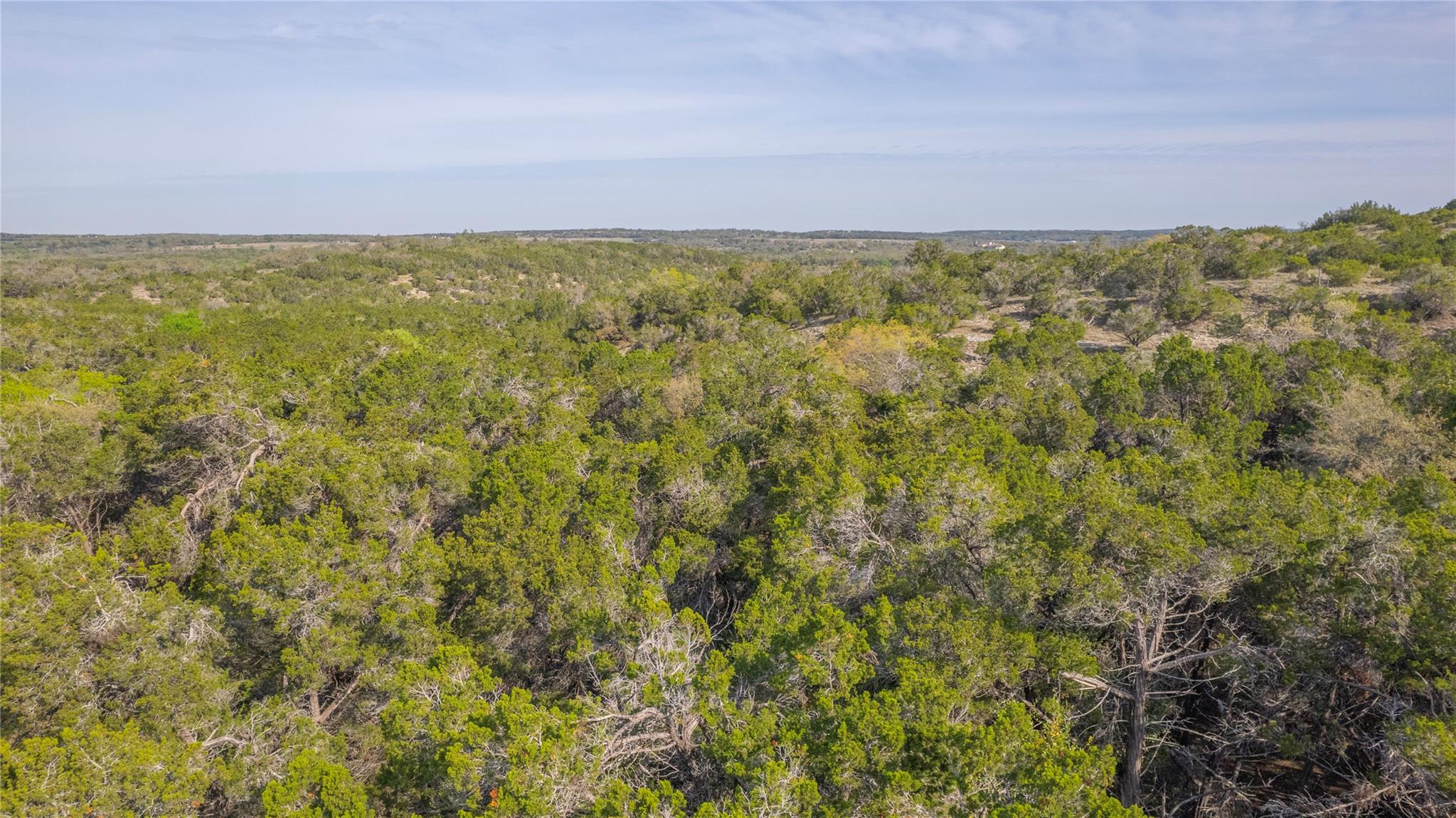 Tbd Bell Springs Road Dripping Springs TX 78620