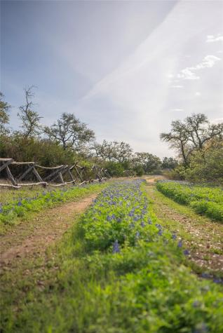 Tbd Bell Springs Road Dripping Springs TX 78620