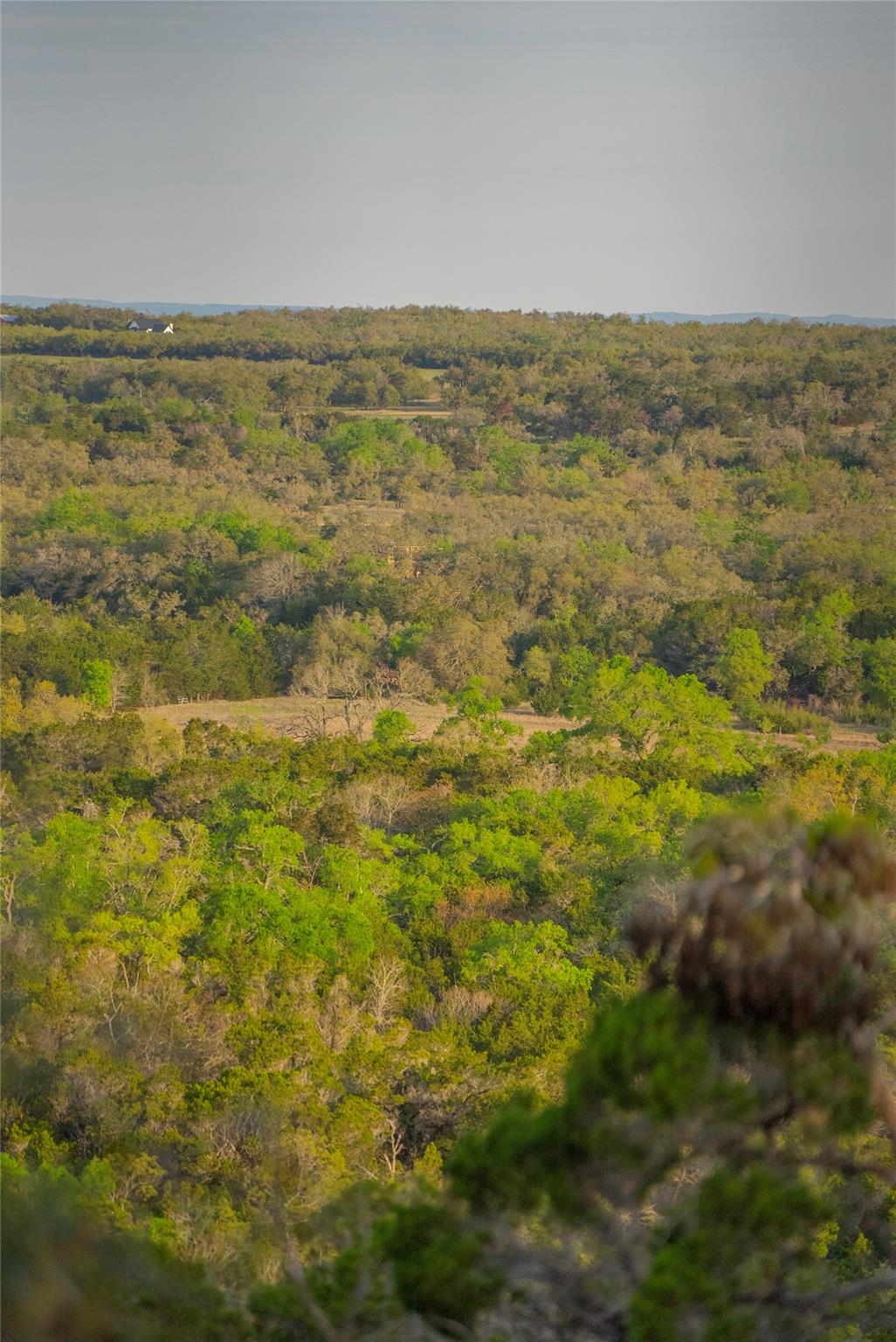 Tbd Bell Springs Road Dripping Springs TX 78620