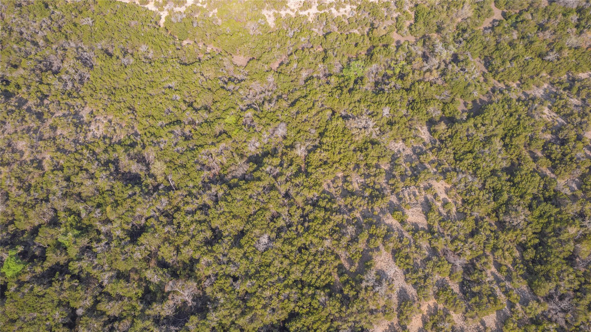Tbd Bell Springs Road Dripping Springs TX 78620