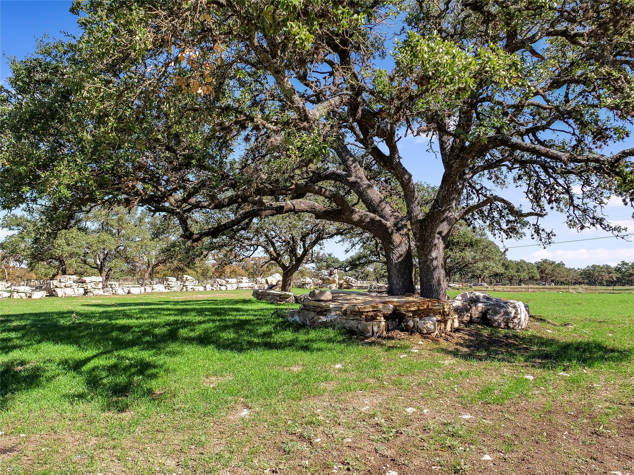788 Clarence Jacoby Road Fredericksburg TX 78624
