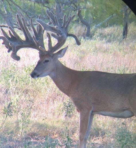 2313 E Us Highway 79 Rockdale TX 76567