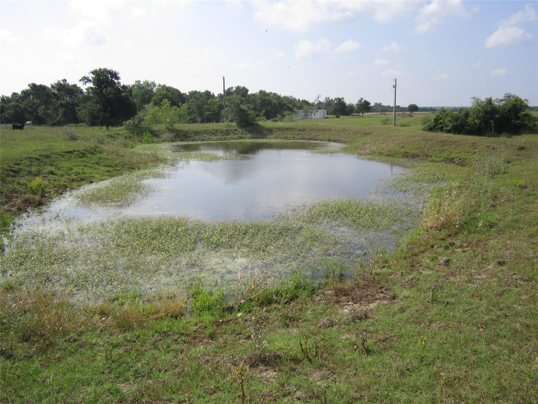 1602 County Road 470 Coupland TX 78615