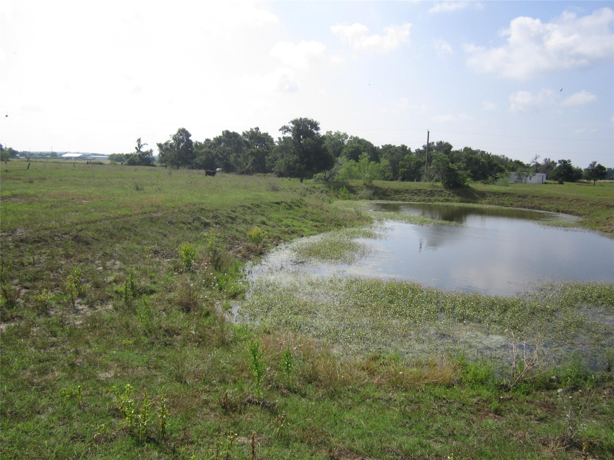 1602 County Road 470 Coupland TX 78615