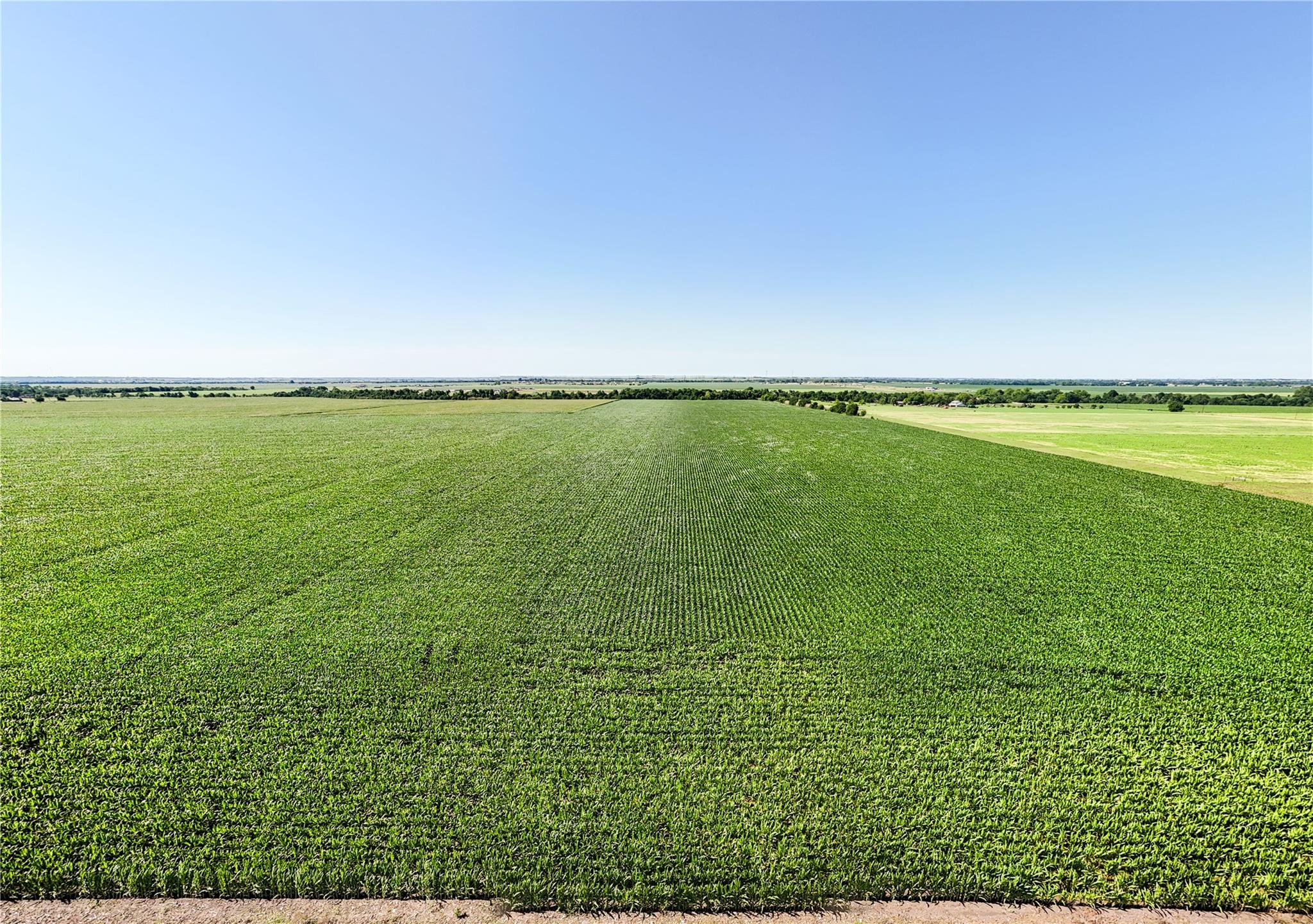 0 County Road 405 Taylor TX 76574