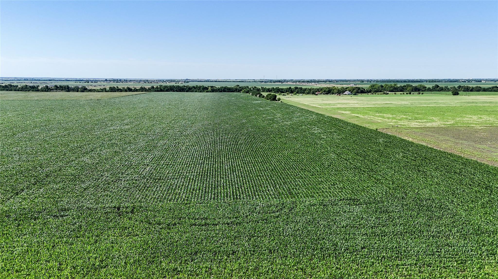 0 County Road 405 Taylor TX 76574