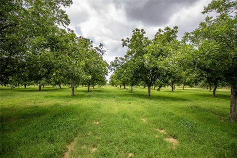 2432 County Road 402 B Falfurrias TX 78355