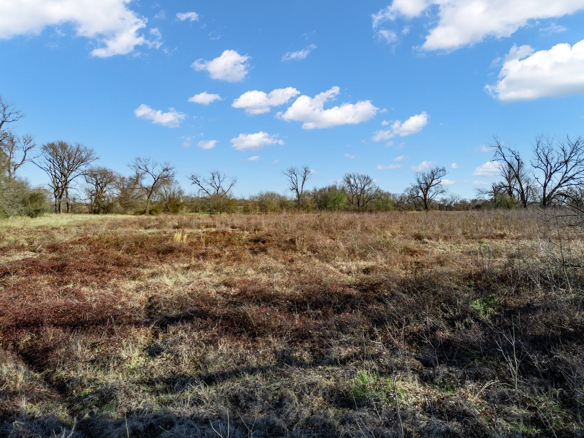 Tbd County Road 721 Groesbeck TX 76653