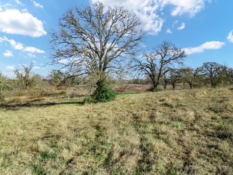 Tbd County Road 721 Groesbeck TX 76653