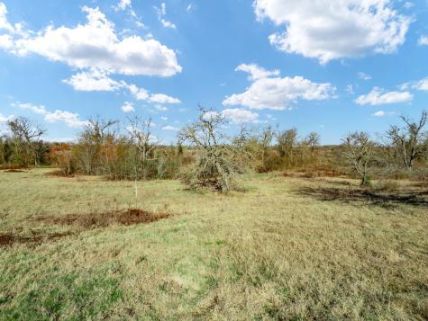 Tbd County Road 721 Groesbeck TX 76653