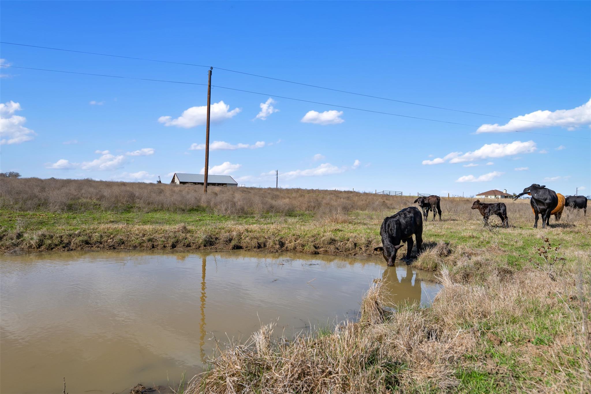 700 County Road 466 Elgin TX 78621