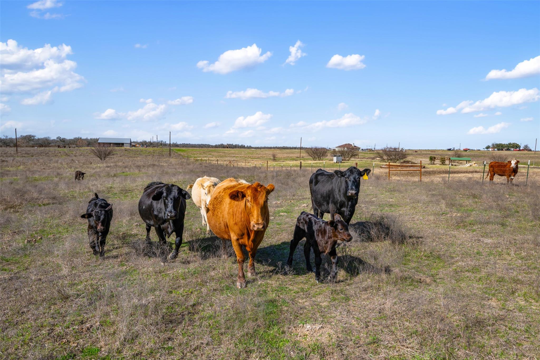 700 County Road 466 Elgin TX 78621